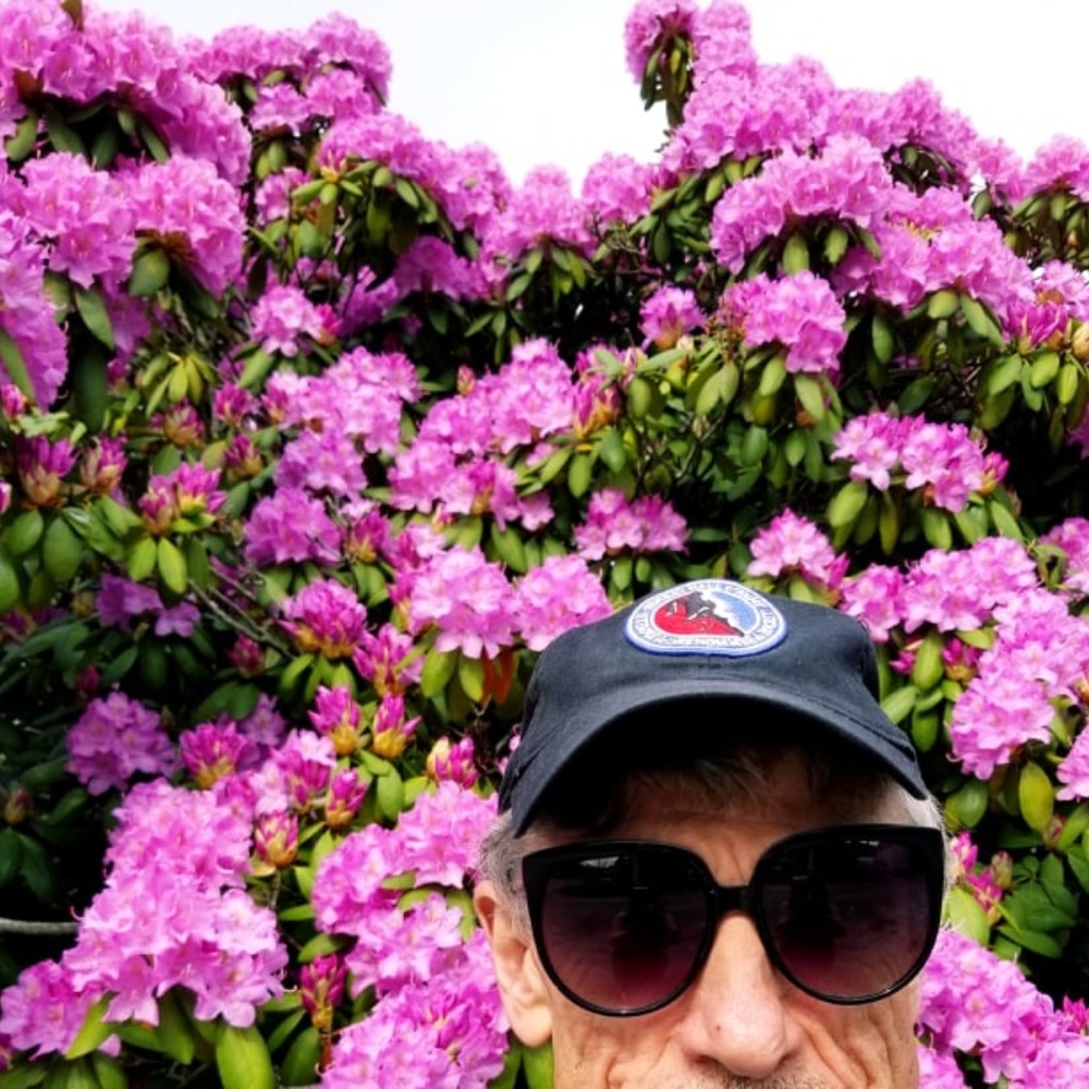 Big Bold SUNGLASSES ~ super UV protection - Picture 4 of 8